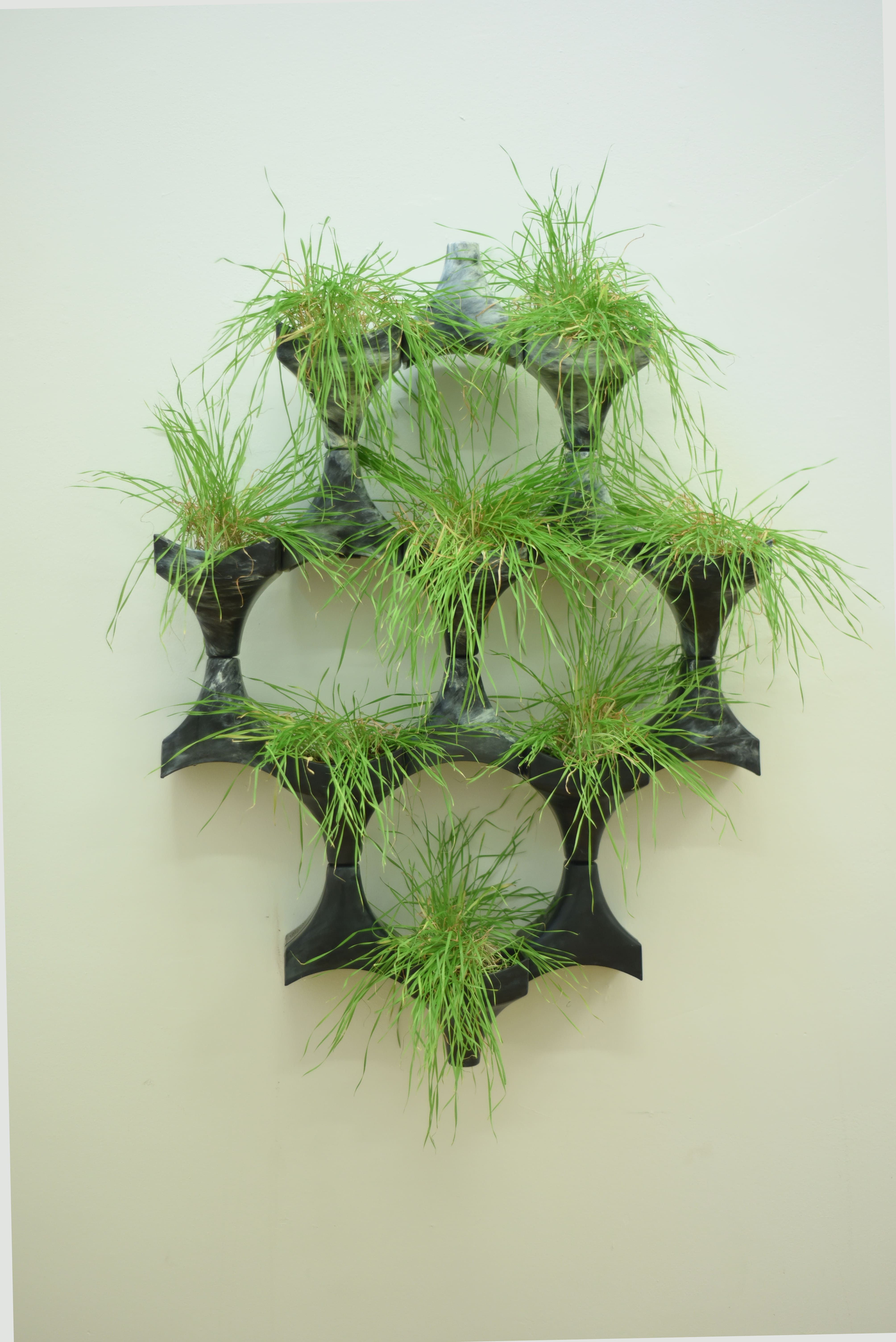 plant wall